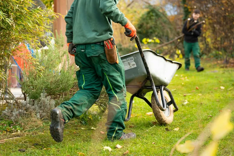 Gardener wheeling a barrow across a lawn