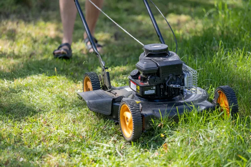 Petrol mower cutting a lawn