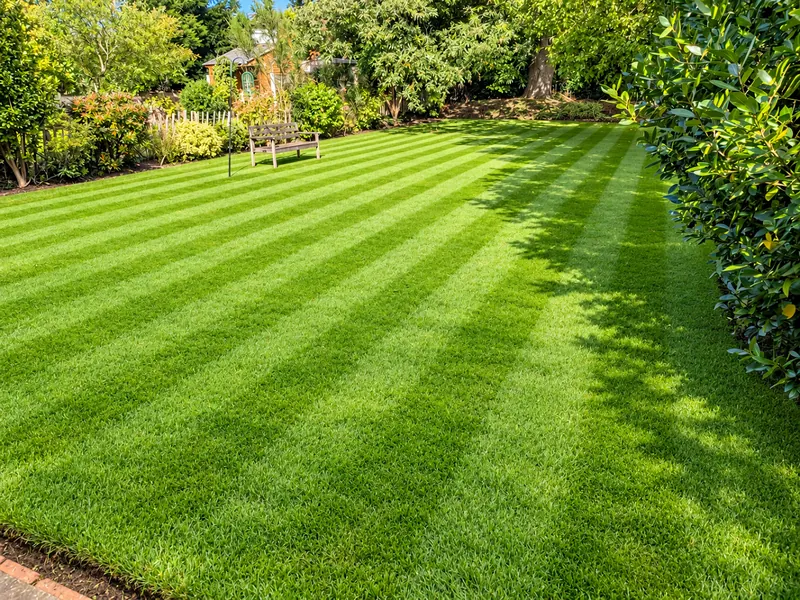 Freshly striped back garden lawn with trees and a bench